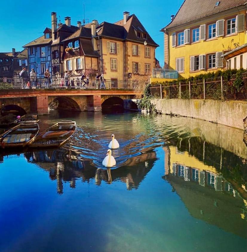 Maison 1708 - Rue Du Canard - City Center Colmar Exterior photo